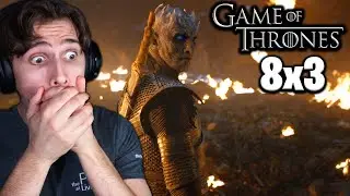 Game of Thrones - Episode 8x3 REACTION!!! 