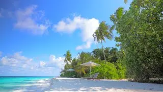🏝 Tropical Beach with Waves crashing on Sandy Shore. Ocean Sounds & Maldives Beach