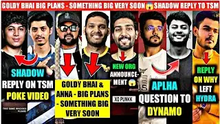 SHADOW ON TSM POKE VIDEO! GOLDY BHAI & ANNA BIG PLANS - ANNOUNCEMENT SOON😱ALPHA QUESTION TO DYNAMO 💯