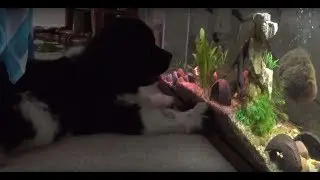Dethan attempts to fish