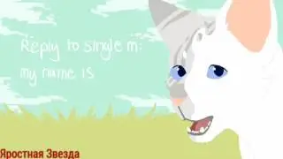 Коты-Воители Искра и Коршун - Я персона вип вип ( Заказ )
