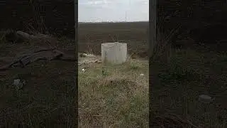 Выброшенные щенки, помесь лайки. 6 малышей, в открытое поле.