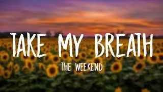 | The weeknd - Take my breath [Lyrics video]🎵🎵🎵