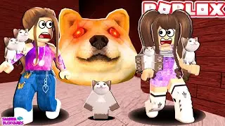 SALVEI TODOS OS BEBÊS GATINHOS  DO CABEÇA DE CACHORRO DO ROBLOX -Doge Head Escape