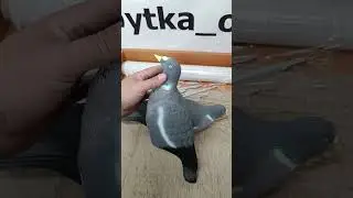 Поступление полукорпусных чучел вяхиря.  Детализированная покраска #вяхирь#охотанавяхиря#охота