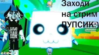 Пытаюсь получить HUGE SHEF CAT в ПЕТ СИМ Х