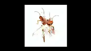 Cockroach dance