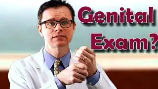 Introduction to the Male Genito-Urinary Exam
