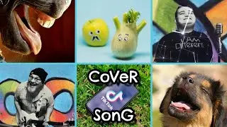 Cover Song (Original Song by The Positive Autism)