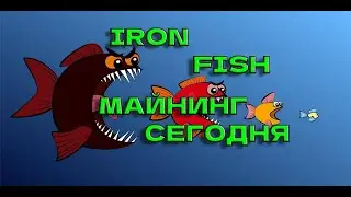 Майнинг IRON FISH сегодня! Где майню я, настройки, разгон!