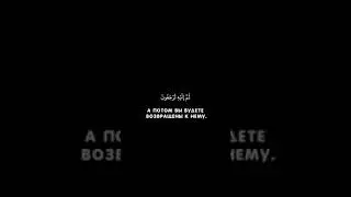 Сура Аль-Бакара Аят 28-29
