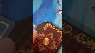 Подсказка на сегодня #shorts #show #tarot #tarofortune #гадание #картадня #предсказание #прогноз