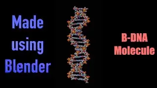 DNA structure: 3D animation (using Blender)