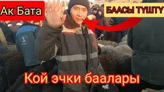 Ак Бата Мал Базары/Кой Эчки баалары 👍