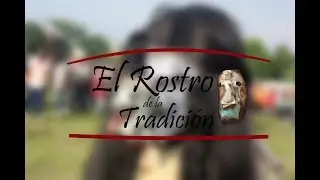 El Rostro de la Tradición (Mascaras de Tastoan de San Juan De Ocotán)