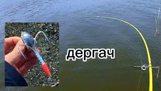 CRACKER! FISH ON EVERY CAST! 