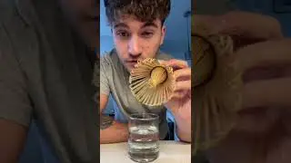 How I Make Matcha 