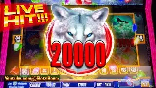 MEGA LINE HIT on WOLF EYES SLOT & LIVE BONUSES!!! FREE GAMES TRIGGER - CASINO SLOT  @Yaamava