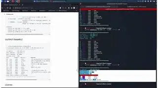 Advanced port scanning with Python