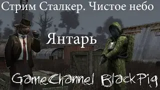 Cтрим 