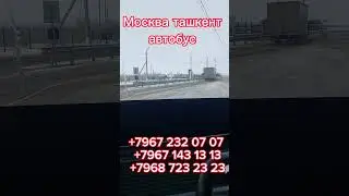 Москва ташкент автобус ташкент москва автобус санкт-петербург ташкент автобус