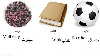 Pashto vocabulary  د پیل کونکو لپاره