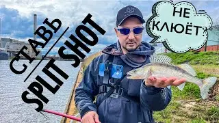 🔥THE MOST CATCHY TACKLE WHEN THERE'S NO BITE⚠️ Fishing for PERCH and PIKE-PERCH with spinning in ...