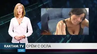 КАКТАМ? Театралу - двойку в дышло #26