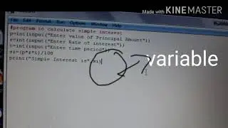 LEARN PYTHON |Python Program to calculate Simple Interest |Class IX X XI XII|