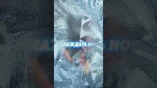 ❌ НЕ ПОКУПАЙ КРОССОВКИ, ПОКА НЕ ПОСМОТРИШЬ ЭТО ВИДЕО! #факты #баскетбол
