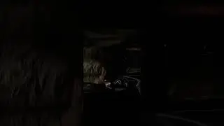 The worst possible job for Leon