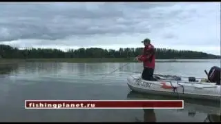 Твичинг уроки.  Прводка Stop & Go
