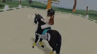 Dressy edit with the 2 best horse ever 🩵thanks too @MargueriteEquine  and @RoxyOC 💖