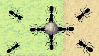 секреты камня (pocket ants симулятор колонии)