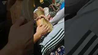 yaar koti go kashmiri song 2024
