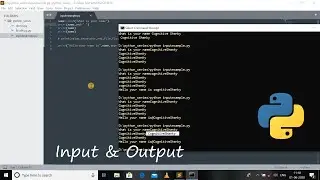 #4 Python 3.8 Programming Tutorial | Input & Output