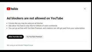 The Youtube Adblock Policy is Annoying