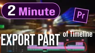Premiere Pro : How to Export Part of your Timeline  | Premiere Pro Basic Tutorial in Hindi
