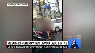 Viral !! vidio mesum di perempatan lampu lalu lintas