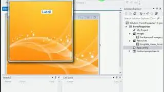 Form properties of VB NET