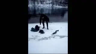 Нарова / 26.01.2021 / Лосось на 6.350.
