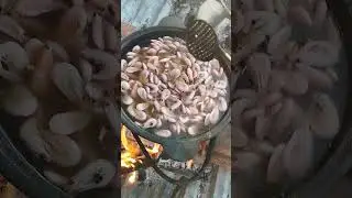 Кириветки