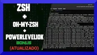 Linux Mint - Meus comandos preferidos ZSH + OH MY SH + PowerLevel10K Plugins e Bônus no Final! (CLI)