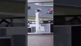 This cat is responsible for all this accidents!!!