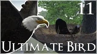 The Skytree Eagle Flock Grows!! 🐦 Ultimate Bird Simulator - Episode #11