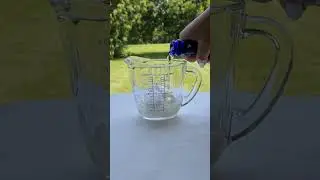 🍋 Prosecco Slushie : Sgroppino Cocktail