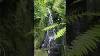 Amazing waterfalls in Pistyll Rhaeadr! #sevenwonders #wales #bestwaterfalls #adventure #summer