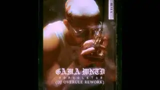 Gama WNTD  - Borboletas (Dj Overule Rework)