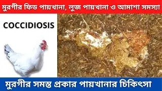 Poultry Birds feed drop and Coccidiosis treatment | Agriculture Tour