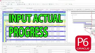 Input progress di Primavera P6
